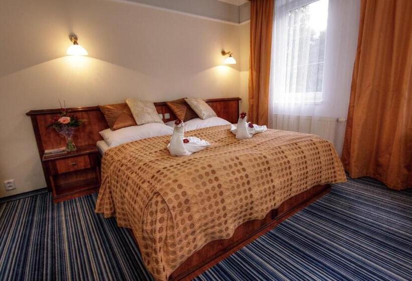 带大床的标准间, Spa & Wellness Hotel Harmonie