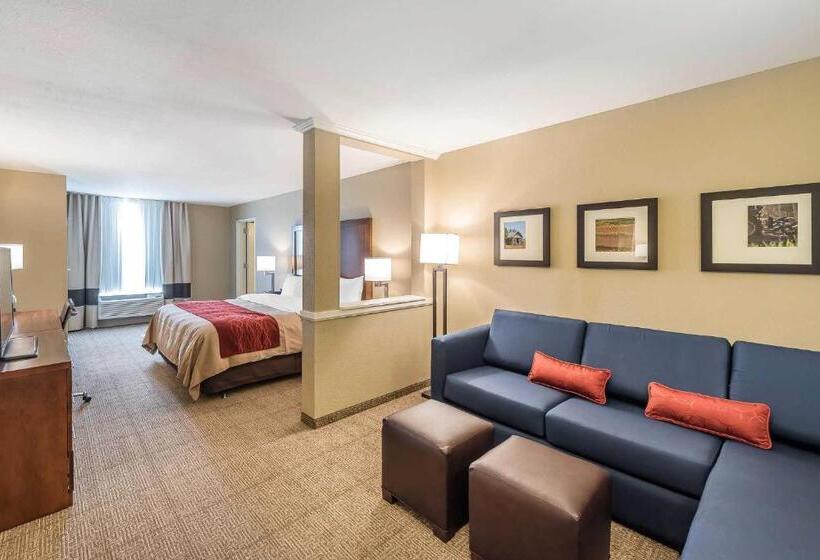 Люкс Кровать Кинг, Comfort Inn & Suites Sidney I 80