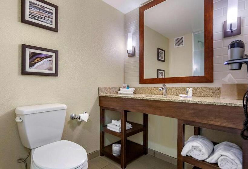 Люкс Кровать Кинг, Comfort Inn & Suites Sidney I 80