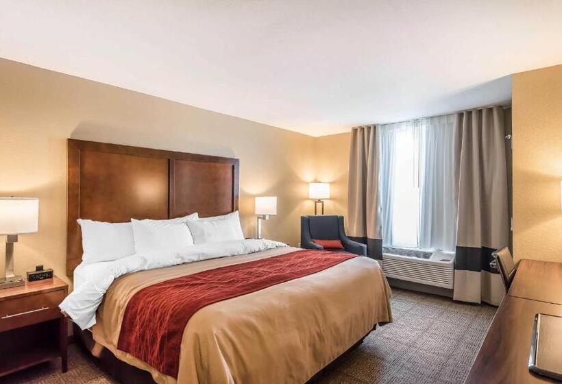 Номер Стандарт Кровать Кинг Адаптированный для Инвалидов, Comfort Inn & Suites Sidney I 80
