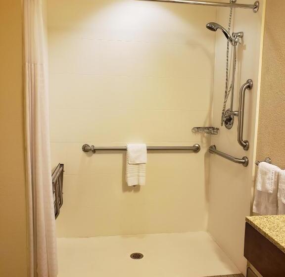 Номер Стандарт Кровать Кинг Адаптированный для Инвалидов, Comfort Inn & Suites Sidney I 80
