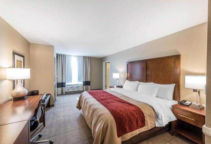 Люкс Адаптированный для Инвалидов, Comfort Inn & Suites Sidney I 80