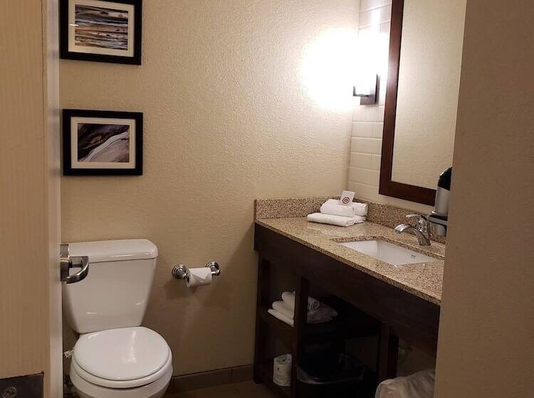 Номер Стандарт 2 Двуспальные Кровати, Comfort Inn & Suites Sidney I 80