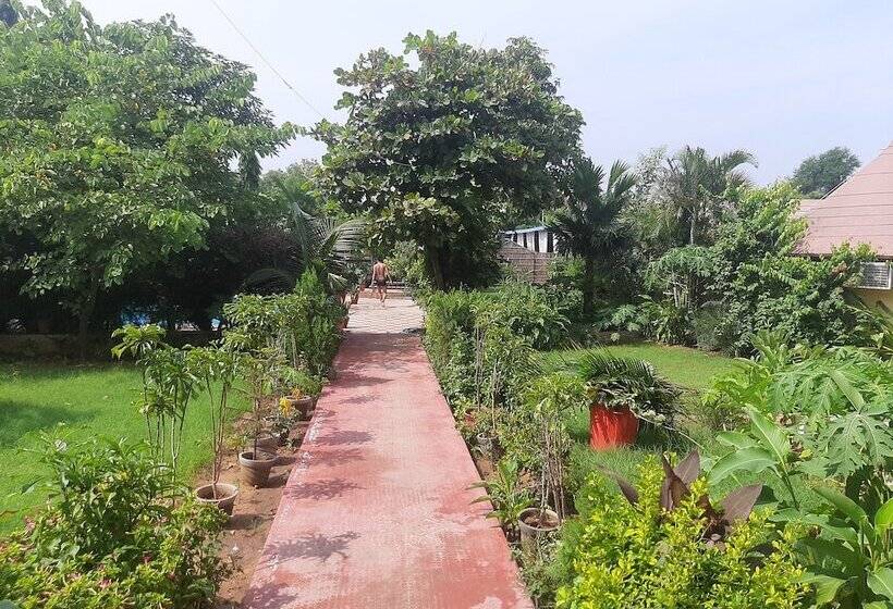 اتاق لوکس, Green Park Resort