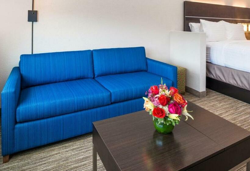Люкс Кровать Кинг, Holiday Inn Express & Suites   Tampa North   Wesley Chapel, An Ihg