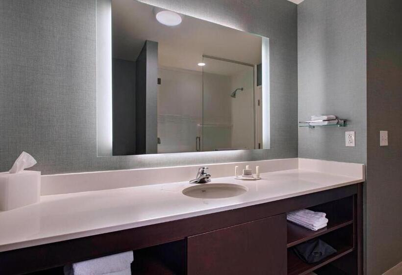 Студио Стандарт Кровать Кинг, Residence Inn By Marriott Jackson The District At Eastover