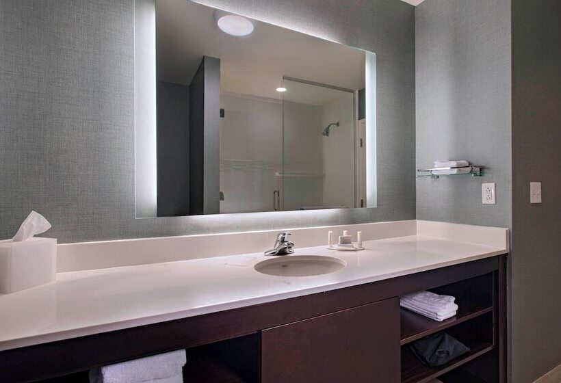 Suíte 2 Dormitórios, Residence Inn By Marriott Jackson The District At Eastover