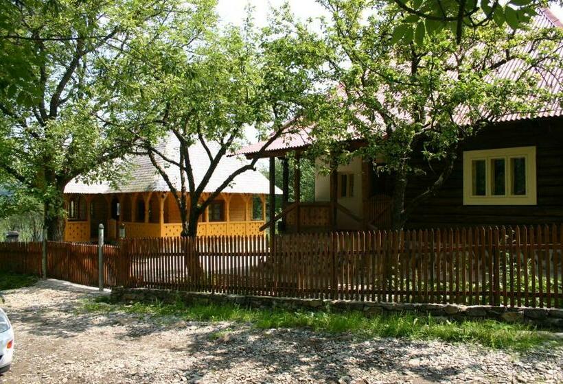 Номер Стандарт Вид на Горы, Casa De Vacanta Padis