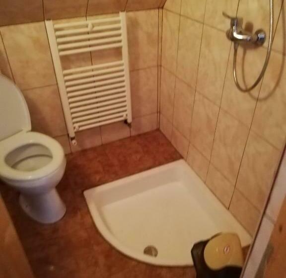 Номер Economy, Casa De Vacanta Padis