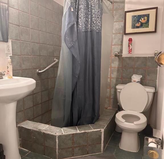 اتاق خانوادگی, Macaw Guest House