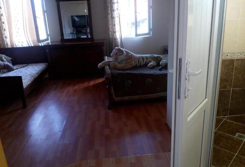 اتاق خانوادگی, Mini Hotel On Guramishvili 22