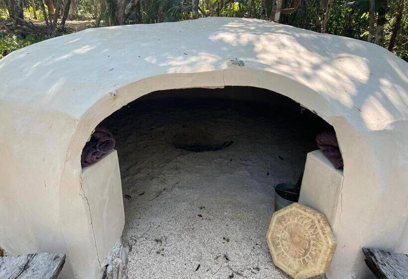 Camera Standard, Room In Lodge   Eco Luxe Mayan Dome Cenote