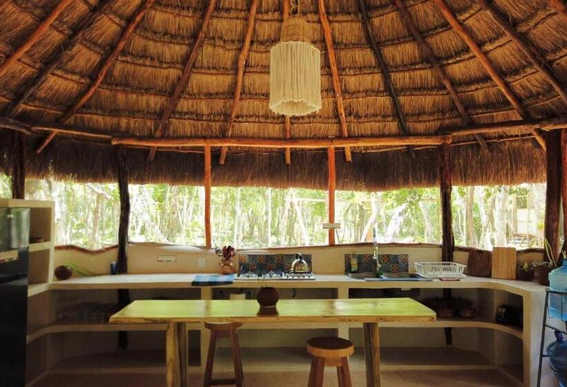 Camera Standard, Room In Lodge   Eco Luxe Mayan Dome Cenote