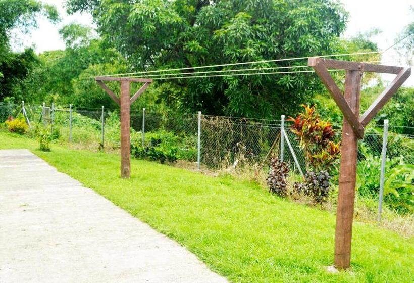 스탠다드 발코니 룸, Tailevu