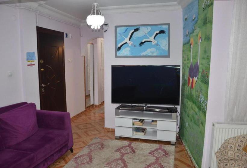Apartamento 1 Dormitório Vista Jardim, Işıl