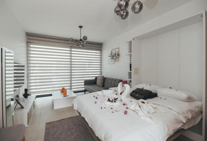 استودیوی استاندارد با چشم‌انداز دریا, Pearl Island Homes