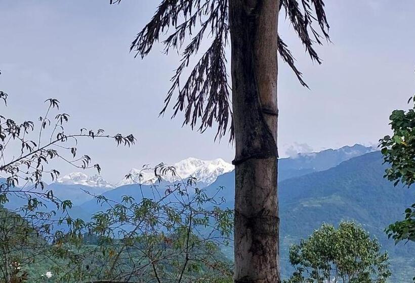 高级大房间, Norbulingka Retreat
