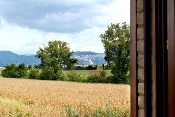 带1个卧室的公寓, Agriturismo Bellarosa