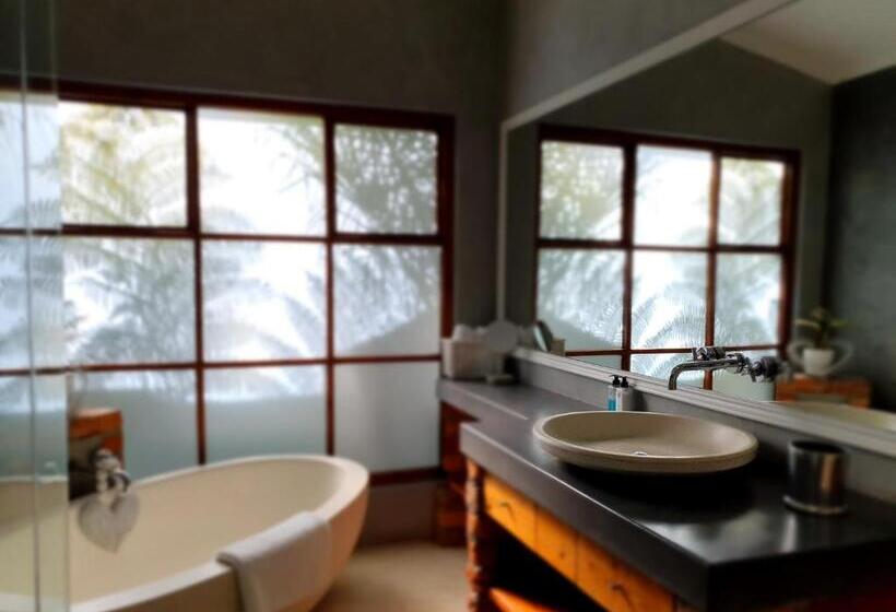 اتاق سوپریور, Two Fat Owls Guesthouse