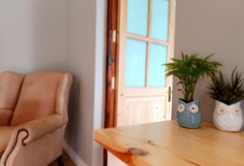 اتاق سوپریور, Two Fat Owls Guesthouse