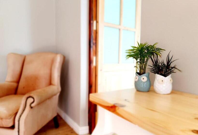 اتاق سوپریور, Two Fat Owls Guesthouse