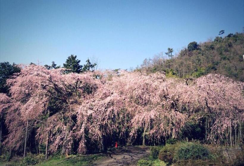 خانه 1 خوابه, Amanohashidate Youth Hostel   Vacation Stay 94805v