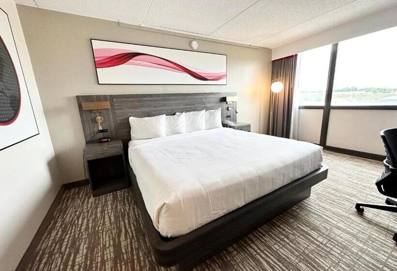 Номер Deluxe, Kiteville Cedar Rapids