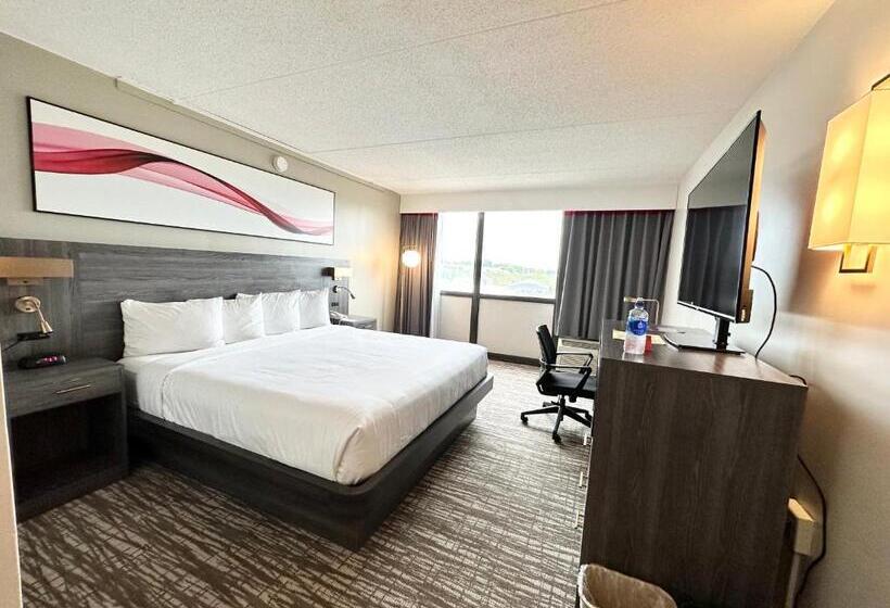 Номер Deluxe, Kiteville Cedar Rapids