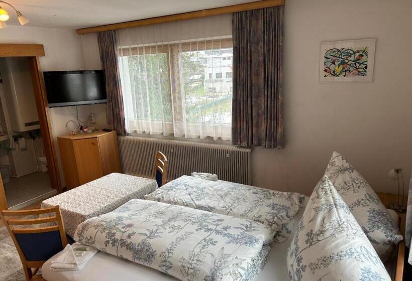 Номер Стандарт, Austrian Motel Heiss