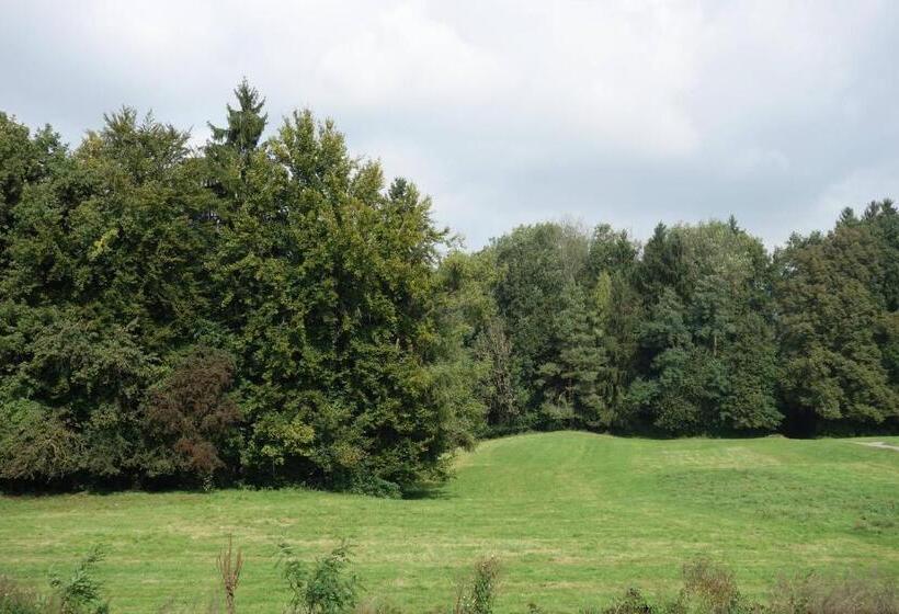 Номер Стандарт с Балконом, Frauenfeld