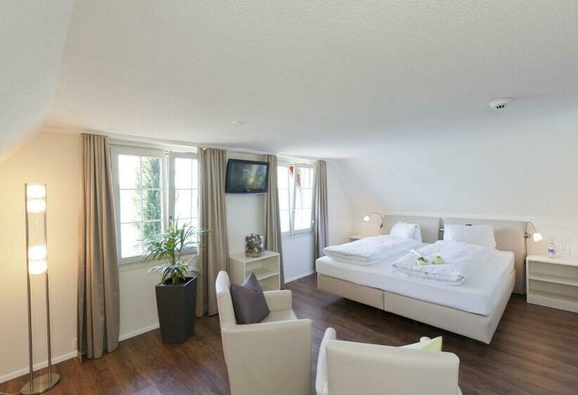 Номер Стандарт Вид на Озеро, Seehotel Baumgarten