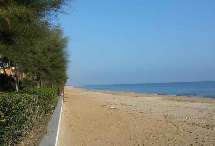 استودیوی استاندارد با چشم‌انداز دریا, Vista Mare