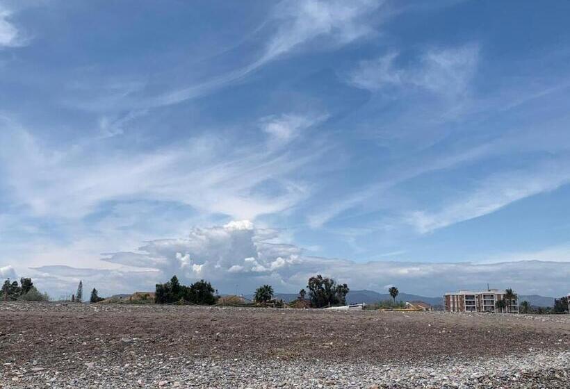 Номер Стандарт, Sagunto 2