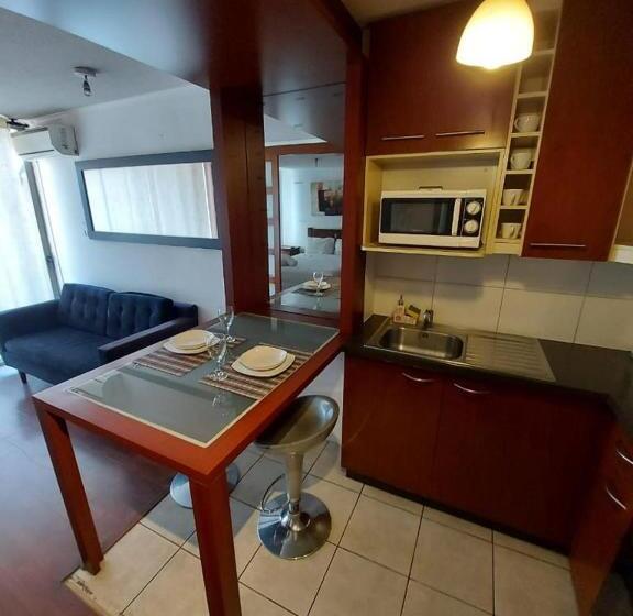 آپارتمان لوکس 1 خوابه, Tremo Santiago Suite Aparment