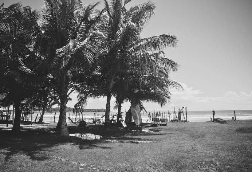 Номер Deluxe Вид на Море с Балконом, Calma   Surf, Yoga & Coffee On A Private Beach