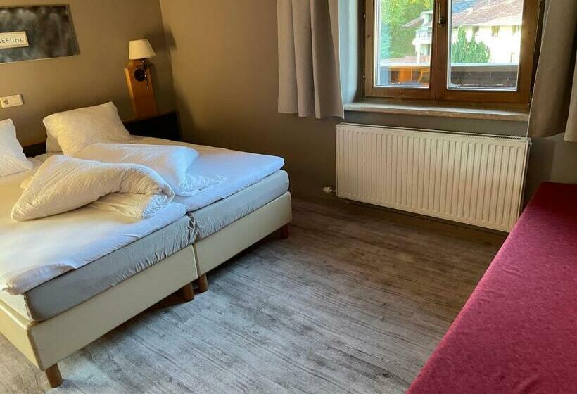 Номер Стандарт, Schwaiger