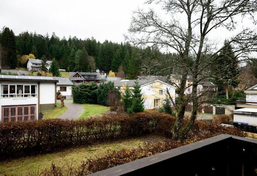 컴포트 트리플 룸, Zum See, Titisee