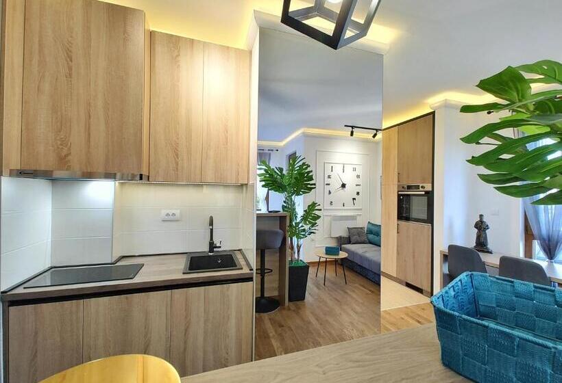 استودیوی لوکس, Velika Recepcija Cc Magnet