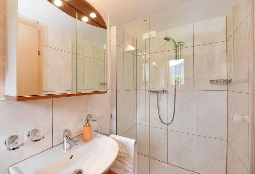 Апартаменты 3 Спальни, Appartement Zint