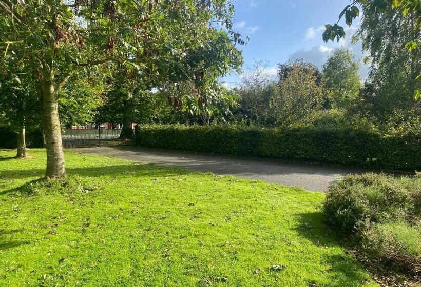 스탠다드 룸, Oak House Laois B&b