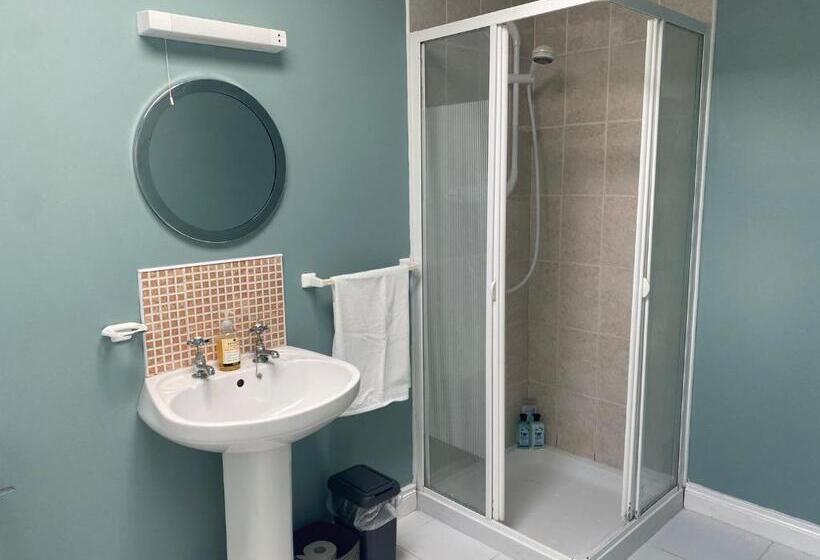 스탠다드 룸, Oak House Laois B&b