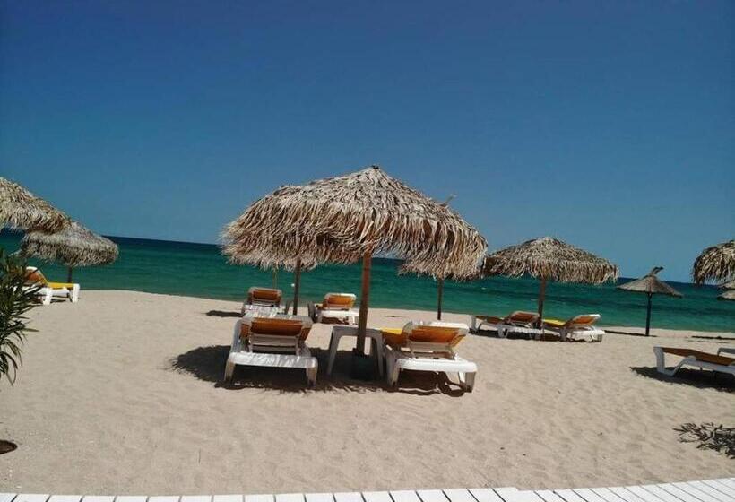 استودیو استاندارد با تراس, Studio Panoramic Sea On