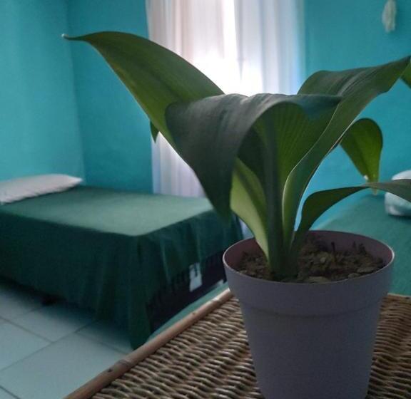 Кровать в Общей Комнате, Raizes Surf And Bar Hostel