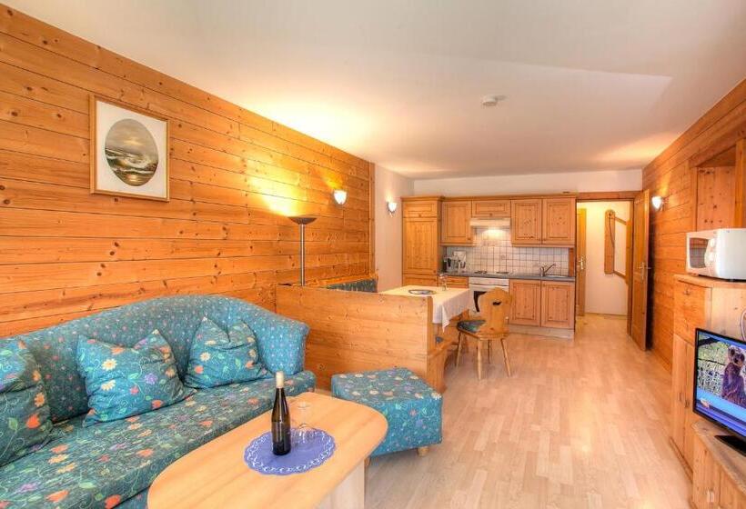 آپارتمان 1 خوابه, Ferienhaus Christina & Haus Dr. Krainer