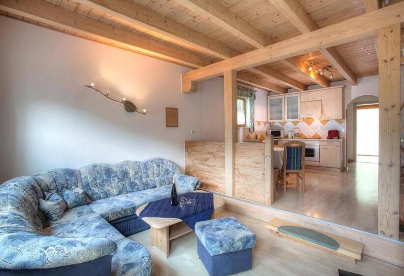 آپارتمان سوپریور 3 خوابه, Ferienhaus Christina & Haus Dr. Krainer