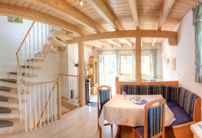 آپارتمان سوپریور 3 خوابه, Ferienhaus Christina & Haus Dr. Krainer
