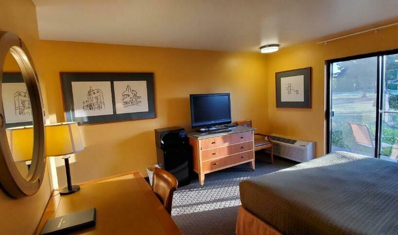 스탠다드 룸 킹사이즈 침대, Olympic View Inn