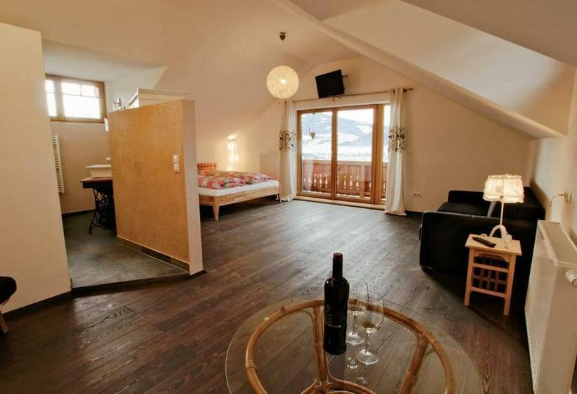 Номер Стандарт, Ortnerhof Ennstal