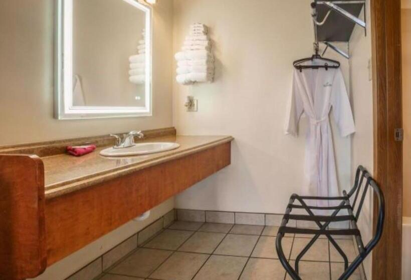 Номер Deluxe Кровать Кинг, Shady Acre Inn And Suites