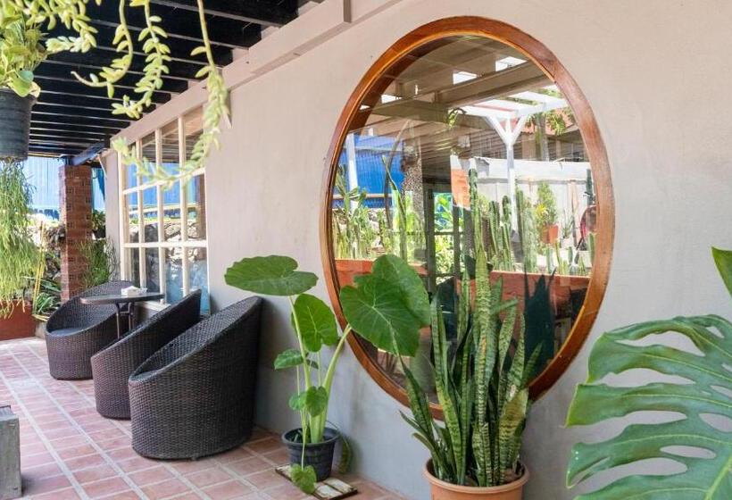 اتاق استاندارد با سرویس بهداشتی مشترک, La Casa De Jardin